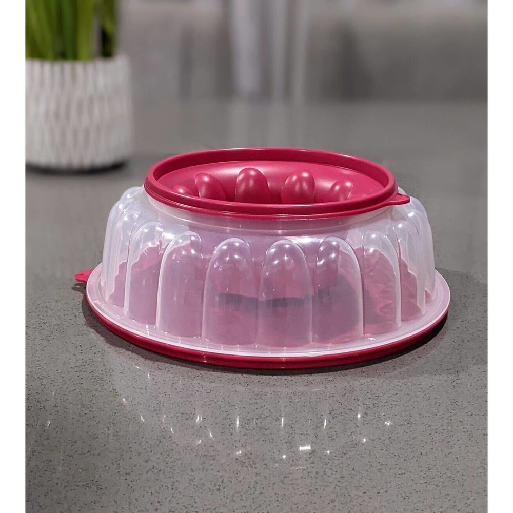 Tupperware Jel-ring Jello Gelating Mold 6 Cup Sheer Vineyard New